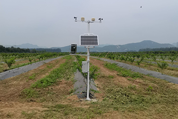 农粮髦植小气象观测自动形象站规划
